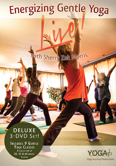 DVD: Gentle Yoga Energizing LIVE! Deluxe Series 1 with Sherry Zak Morris