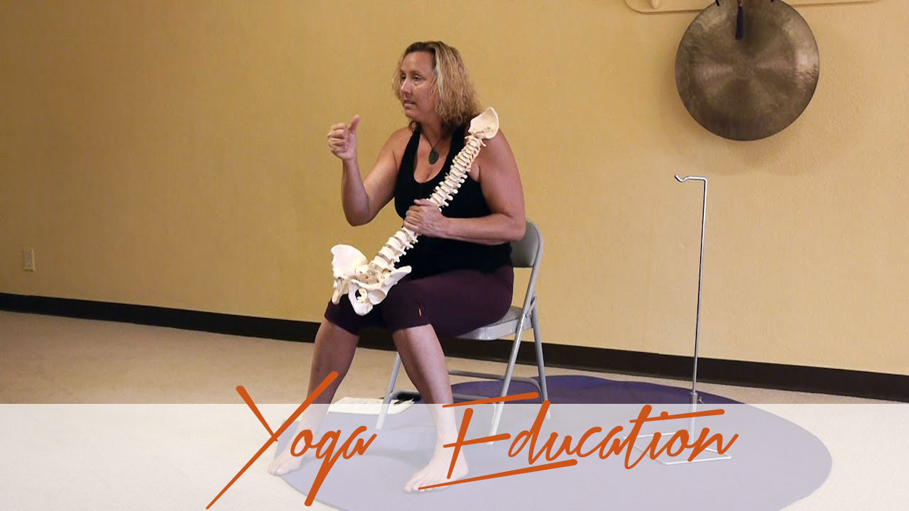 yoga-education